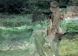 244_img_8316-jpeg.jpg